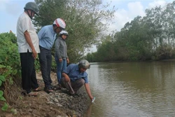 Chủ động giải pháp ứng phó hạn mặn phù hợp với điều kiện vùng Đồng bằng sông Cửu Long