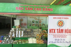 Cao Bằng tập trung xây dựng các hợp tác xã kiểu mẫu