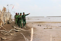 Lực lượng Bộ đội Biên phòng Tiền Giang phối hợp với Công an, Dân quân tự vệ tuần tra kiểm soát, kiểm soát địa bàn khu vực cồn bãi ở huyện Tân Phú Đông, tỉnh Tiền Giang. Ảnh: Hữu Chí – TTXVN