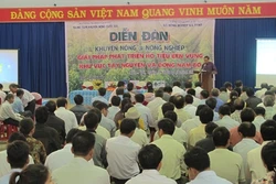 Tìm giải pháp phát triển hồ tiêu bền vững khu vực Đông Nam bộ và Tây Nguyên