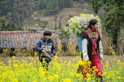 Du Xuân trên cao nguyên đá Đồng Văn 